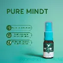pure-mint-pureparadise.webp