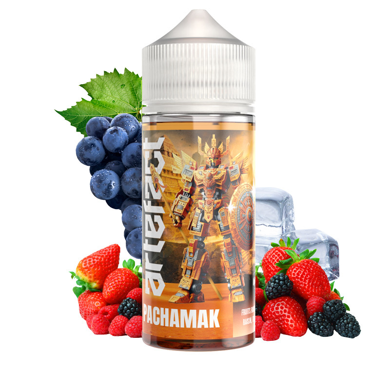 [004163] PACHAMAK 100 ml - ARTEFACT
