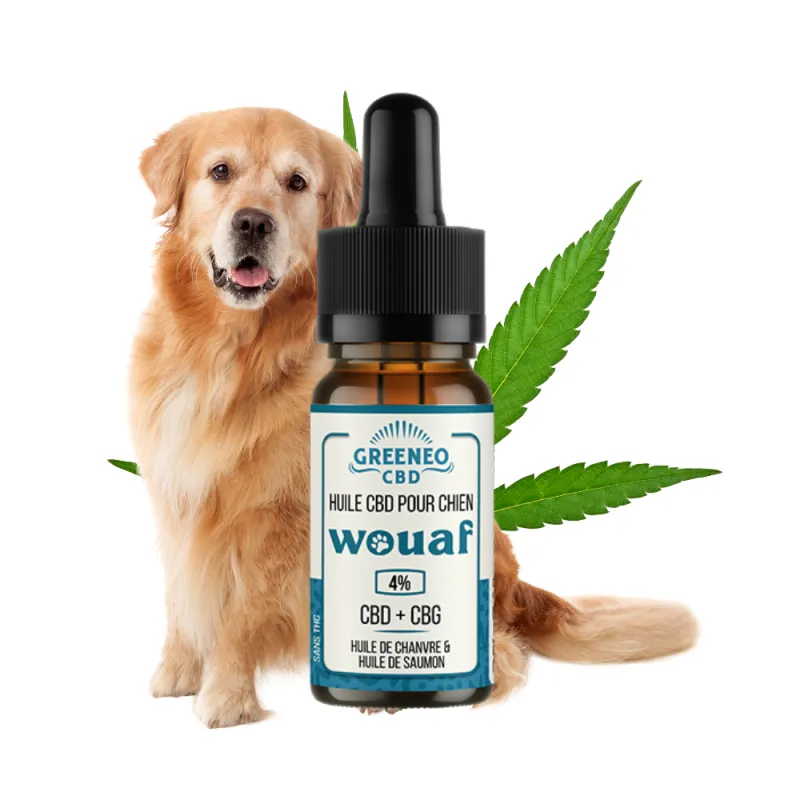 HUILE CBD pour Chien - GREENEO