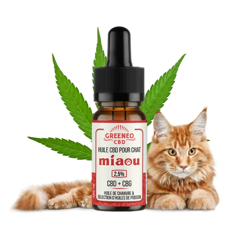 HUILE CBD pour Chat - GREENEO