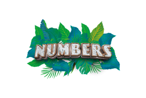 Numbers